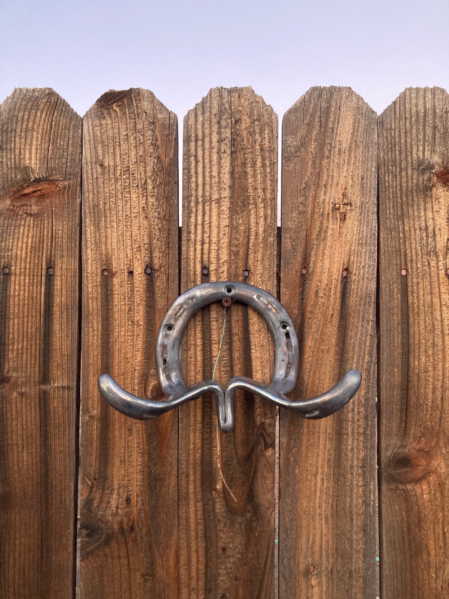 Longhorn Hook