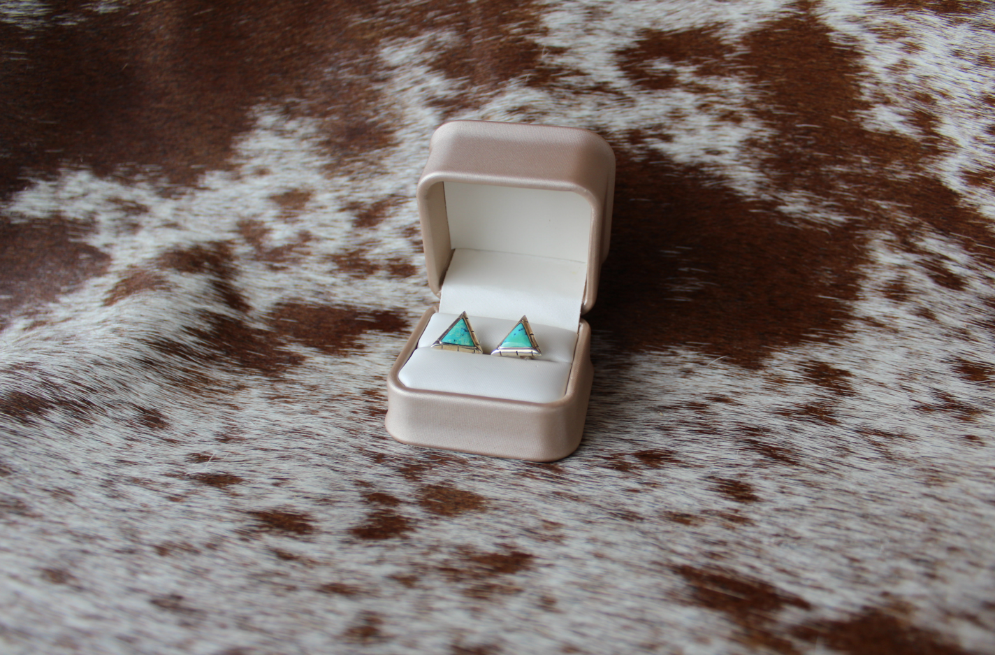 Turquoise Earrings